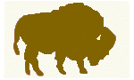 Buffalo Symbol